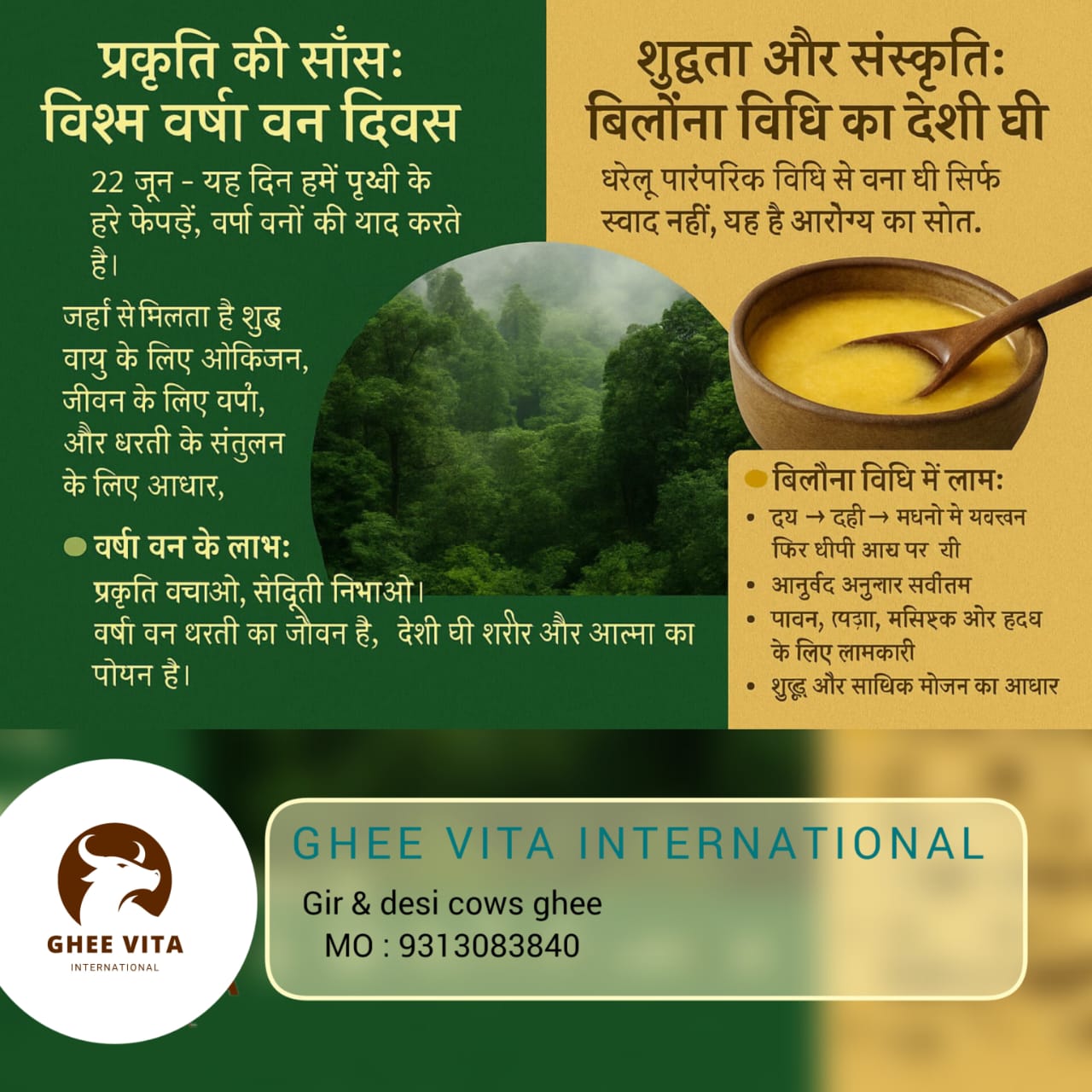 Celebrate Rainforest Day with Pure A2 Ghee from Ghee Vita
